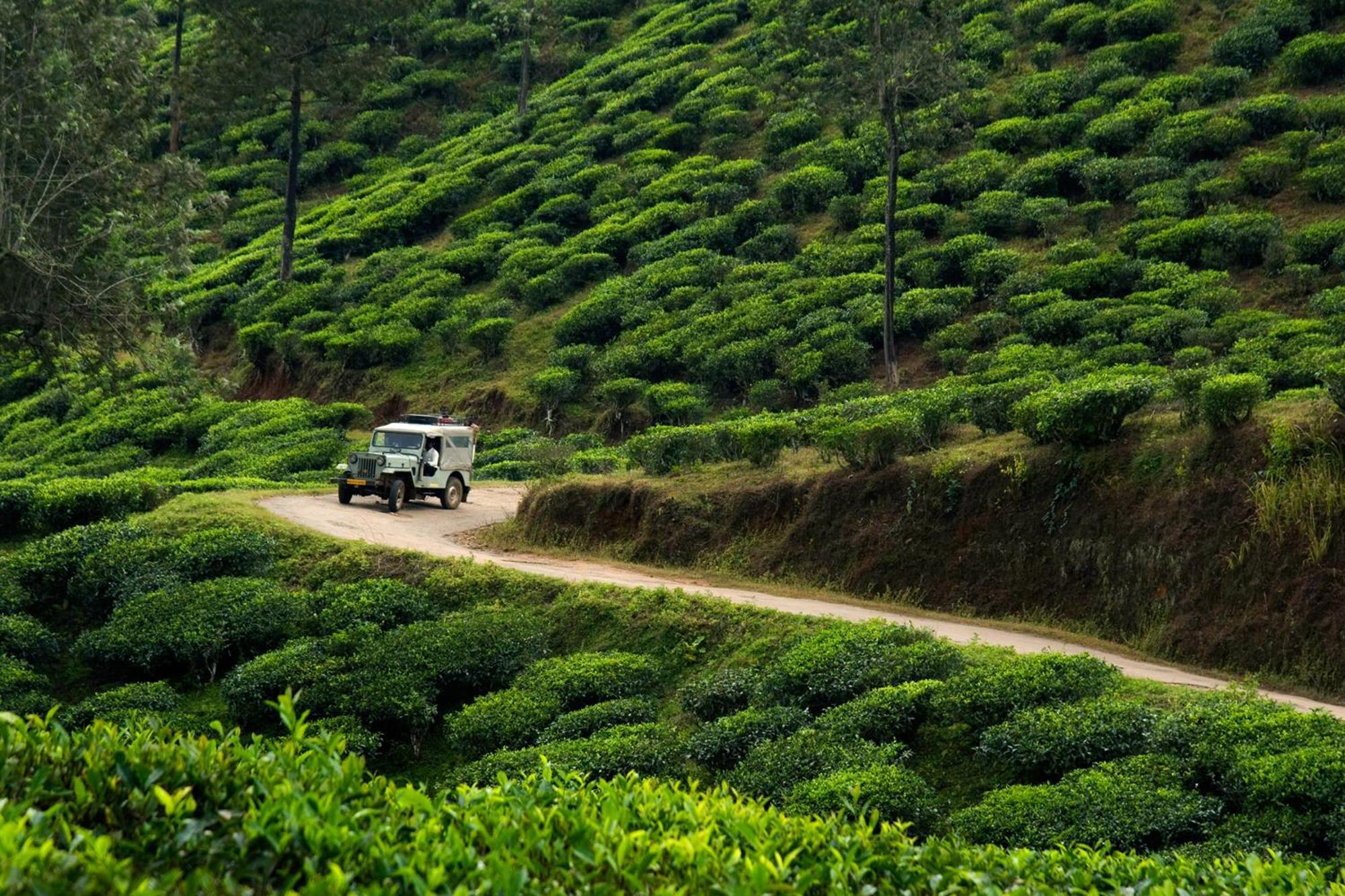 Spicegreen Homestay,Теккади Экстерьер фото